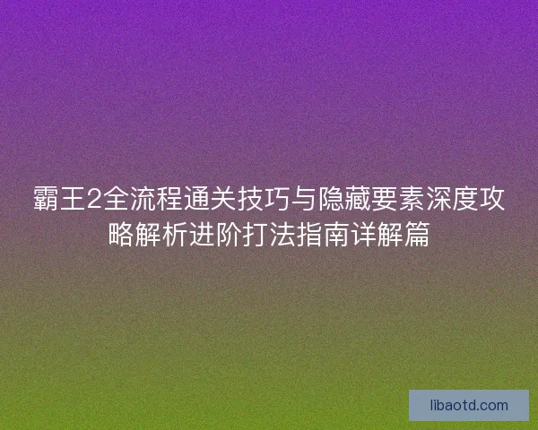 霸王2全流程通关技巧与隐藏要素深度攻略解析进阶打法指南详解篇